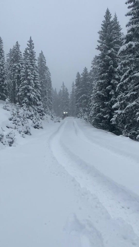 TikTok video thumbnail by baschtei123