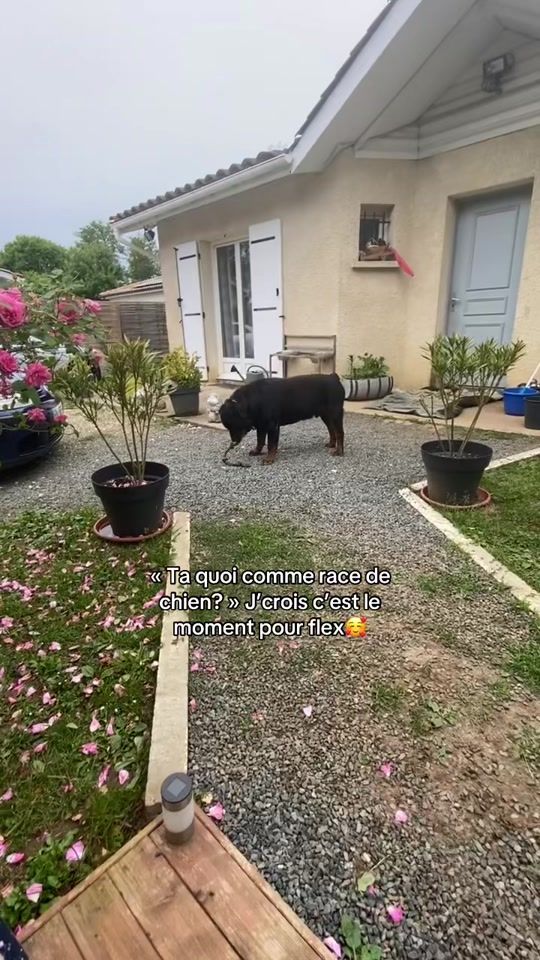 TikTok video thumbnail by l.b__05