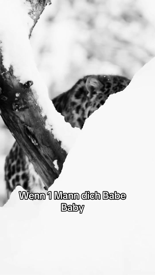 TikTok video thumbnail by black12_4_