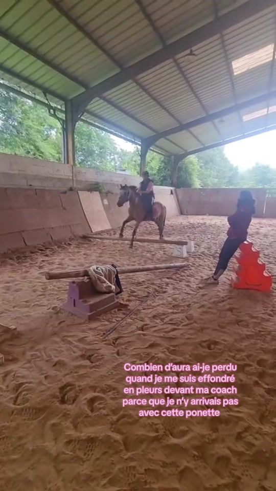 TikTok video thumbnail by vanille_la_chenille