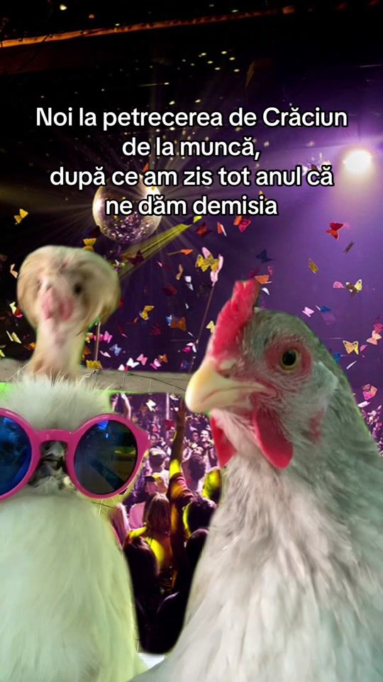 TikTok video thumbnail by teodora.zdr