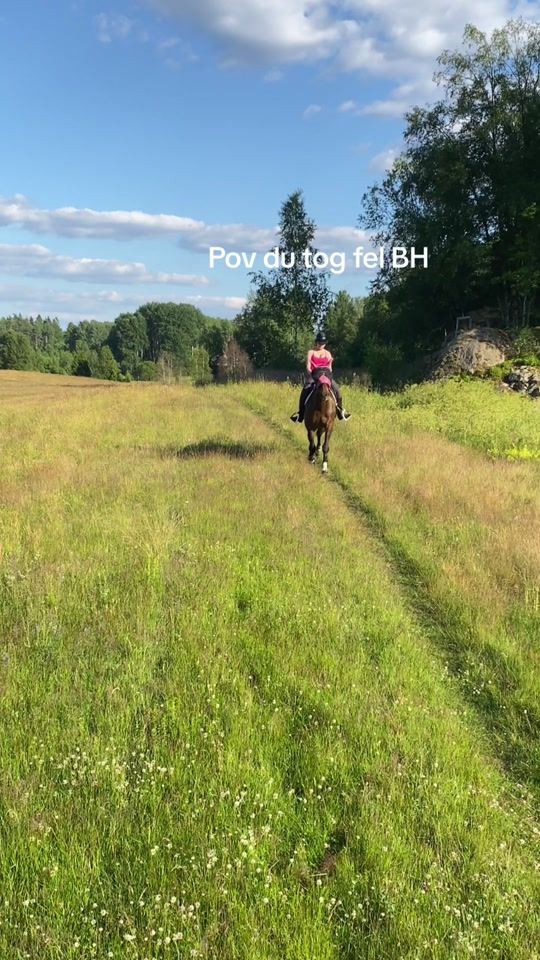 TikTok video thumbnail by lovis_hastiga