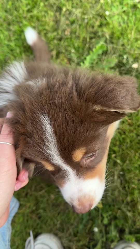 TikTok video thumbnail by amberenbart