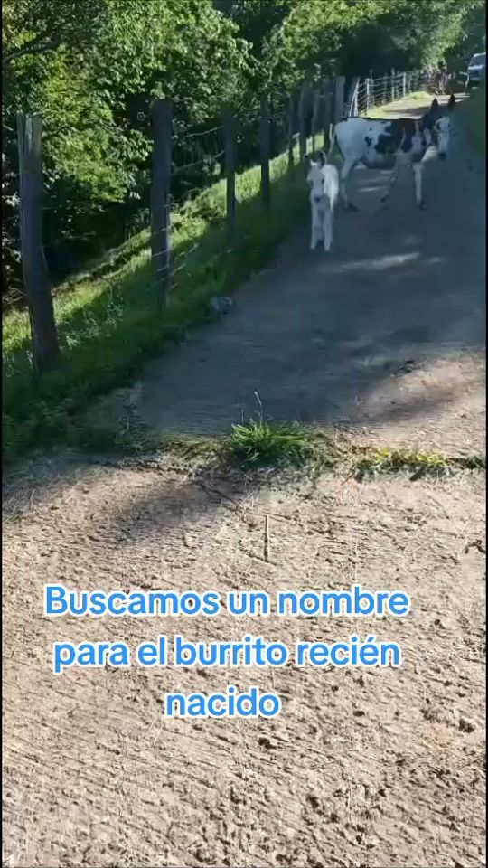 TikTok video thumbnail by eguzxol