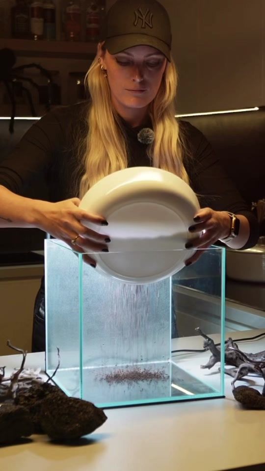 TikTok video thumbnail by lois.aquadesign