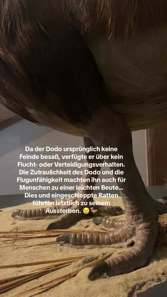 TikTok video thumbnail by senckenbergworld