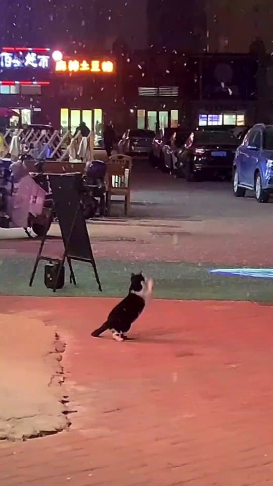 TikTok video thumbnail by larilarisa195