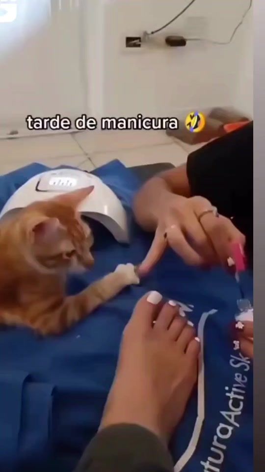 TikTok video thumbnail by danycortiz