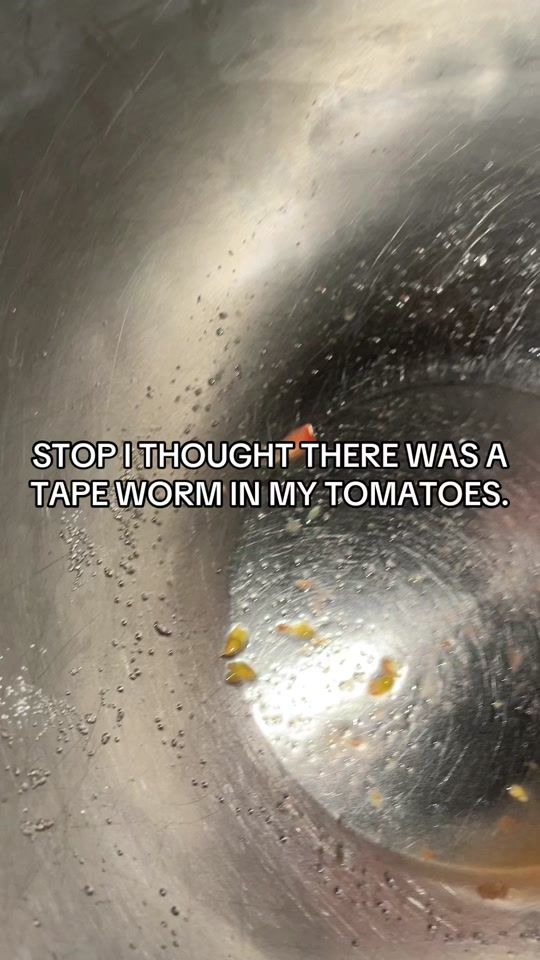 TikTok video thumbnail by mortaldemi