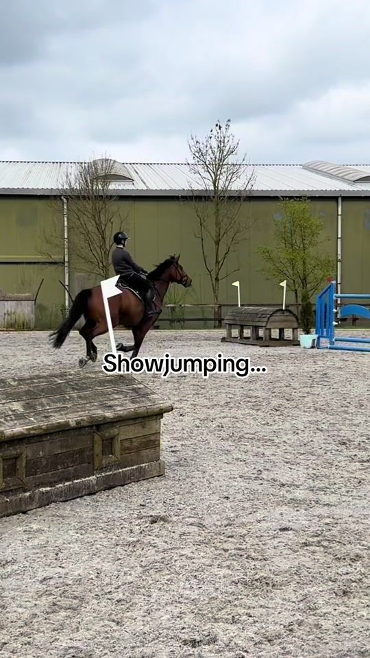 TikTok video thumbnail by sj.maaikebritt