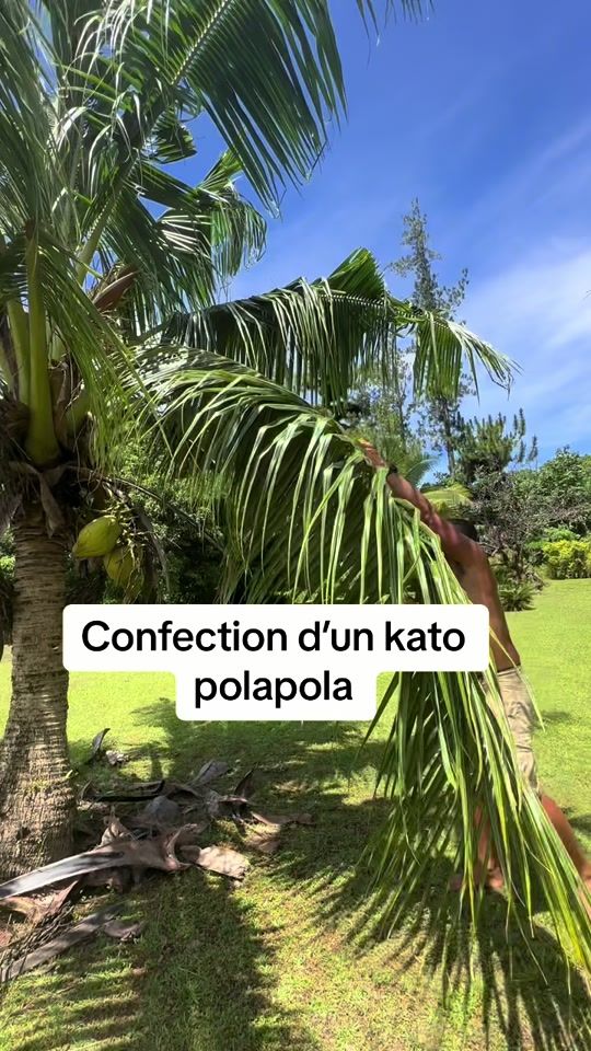 TikTok video thumbnail by moanatoitaua