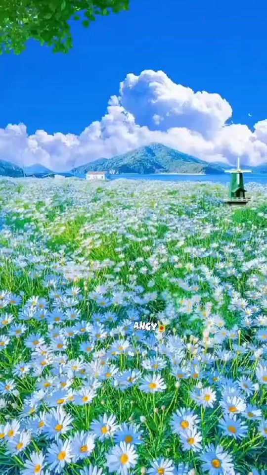 TikTok video thumbnail by angy01233