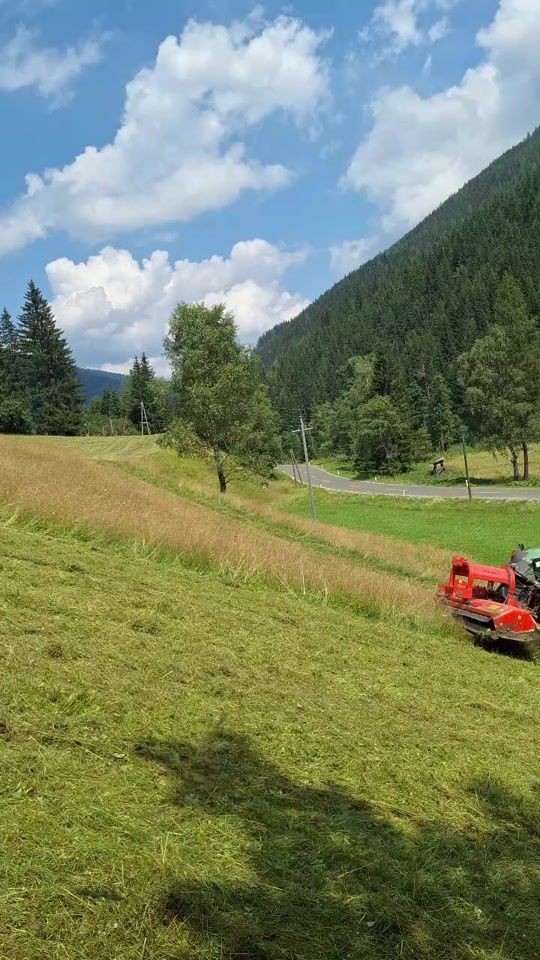 TikTok video thumbnail by holger_1050