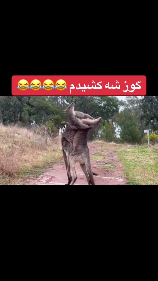 TikTok video thumbnail by najebbrot420