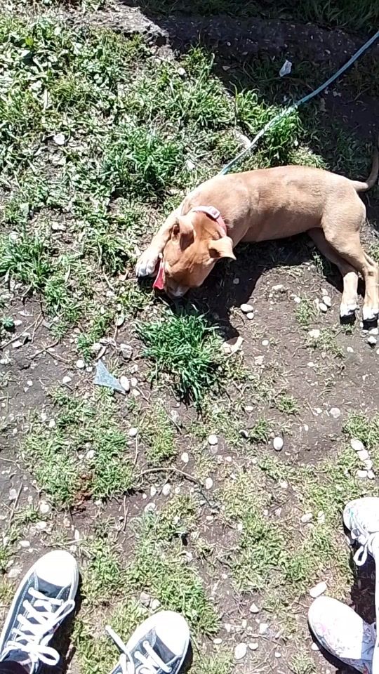 TikTok video thumbnail by manuela.manuela032