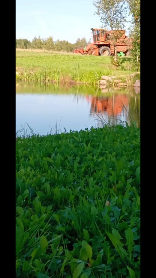 TikTok video thumbnail by mf6499