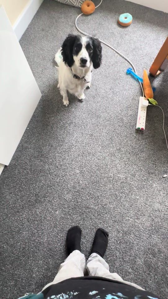 TikTok video thumbnail by assistingduo