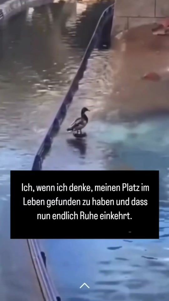 TikTok video thumbnail by nathalies688