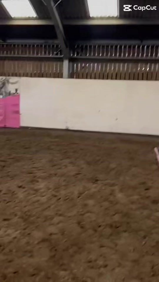 TikTok video thumbnail by phoebelilly14