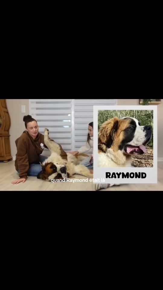 TikTok video thumbnail by capucine0727