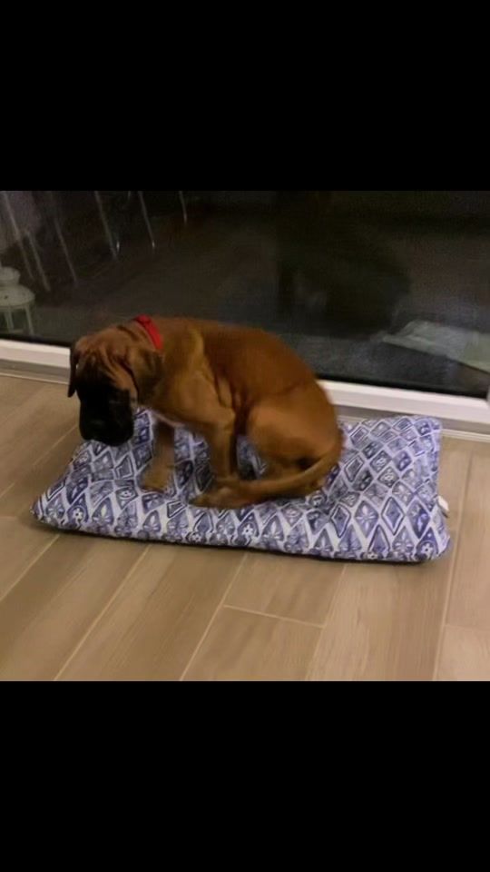 TikTok video thumbnail by miriana_rigoni