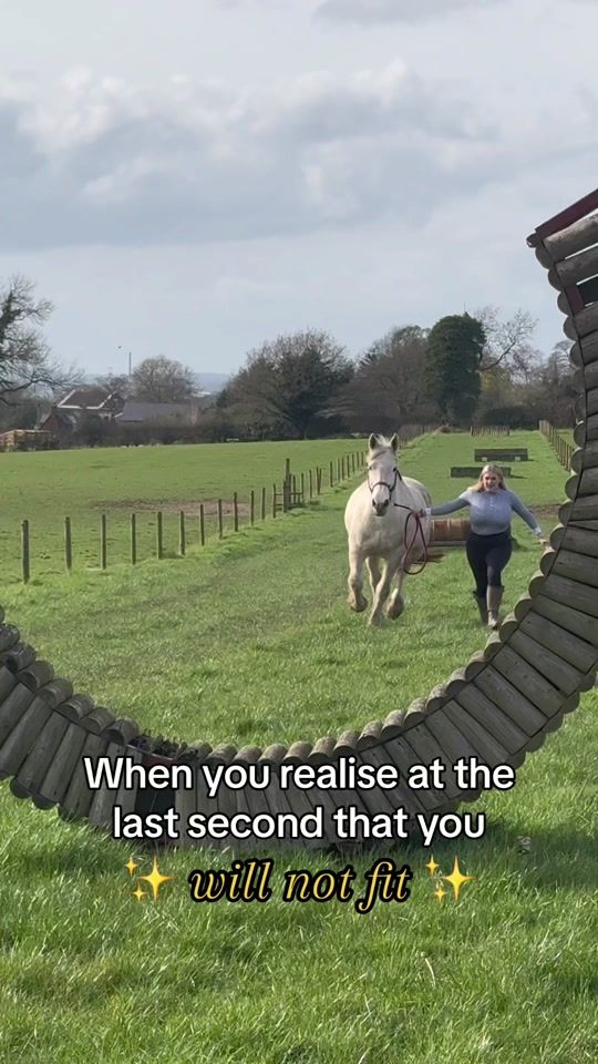 TikTok video thumbnail by countrysidesarah