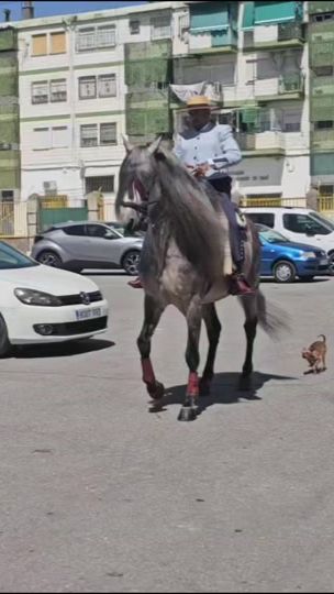 TikTok video thumbnail by juanpitinapitina