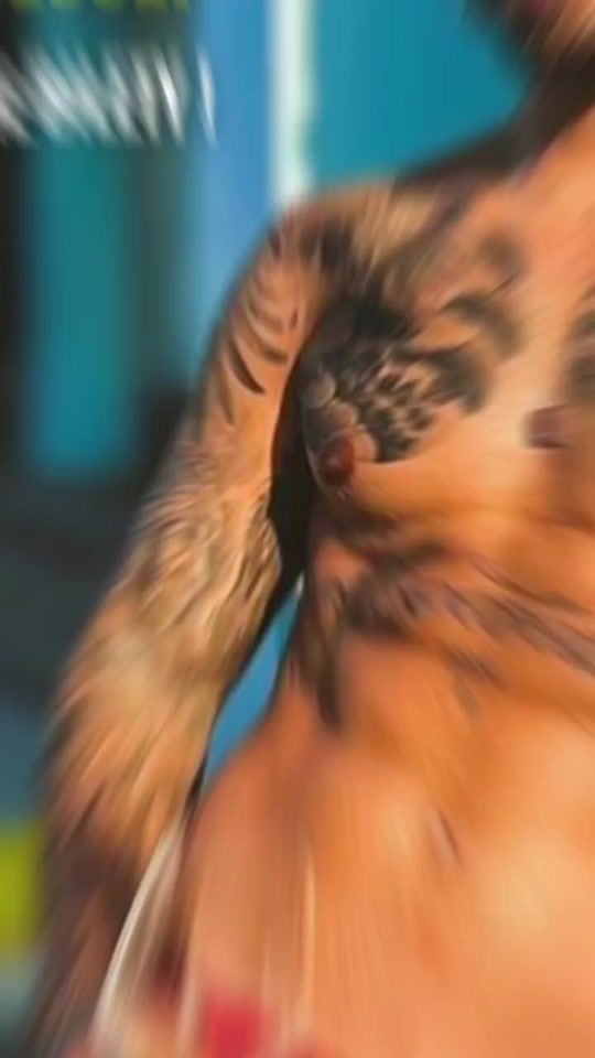 TikTok video thumbnail by trapetonfestivalpl