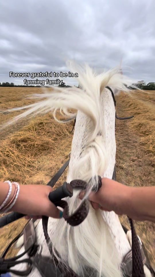 TikTok video thumbnail by dontwhatmeboy