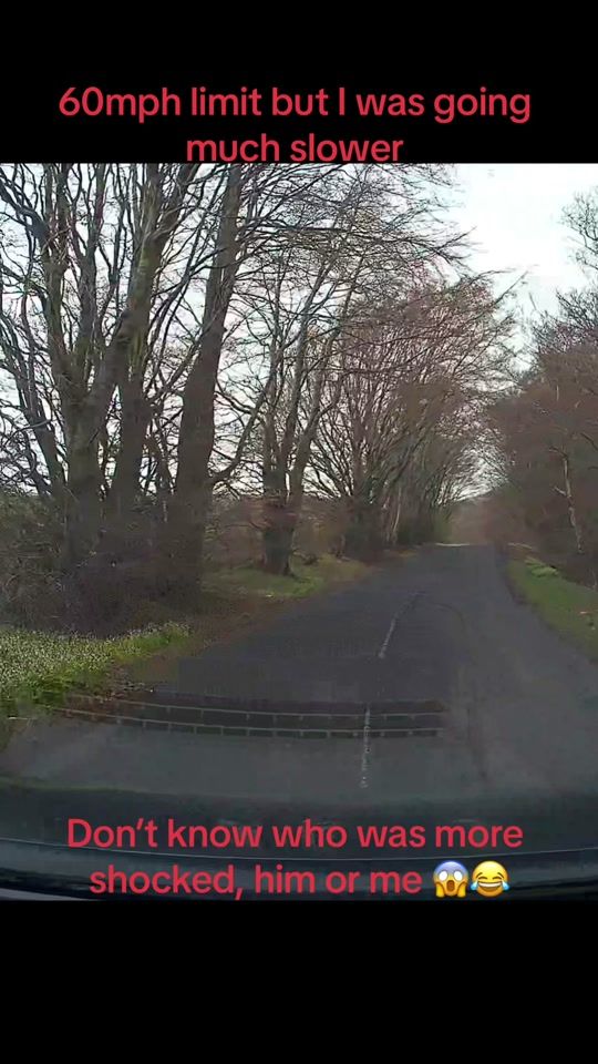 TikTok video thumbnail by edinreviews