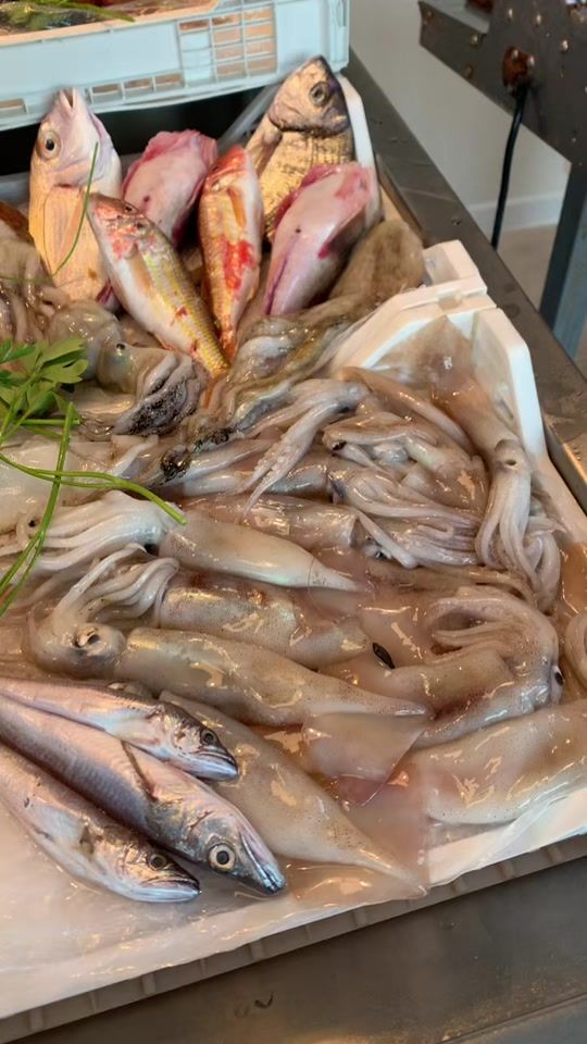 TikTok video thumbnail by ipescivendolidibalatelle