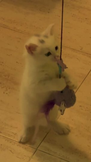TikTok video thumbnail by beathernadz