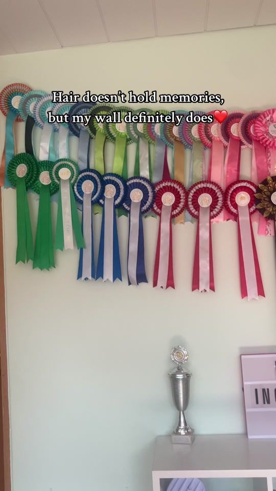 TikTok video thumbnail by anna.showjumper