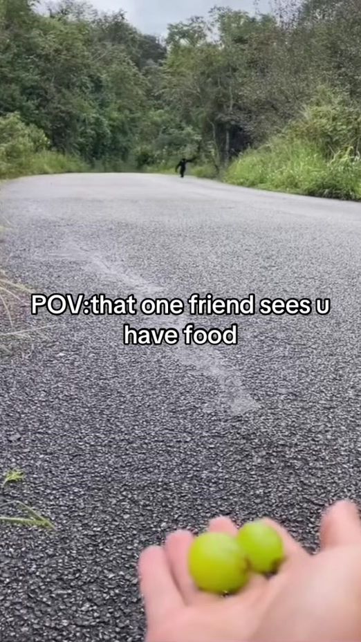 TikTok video thumbnail by urfav_lena2