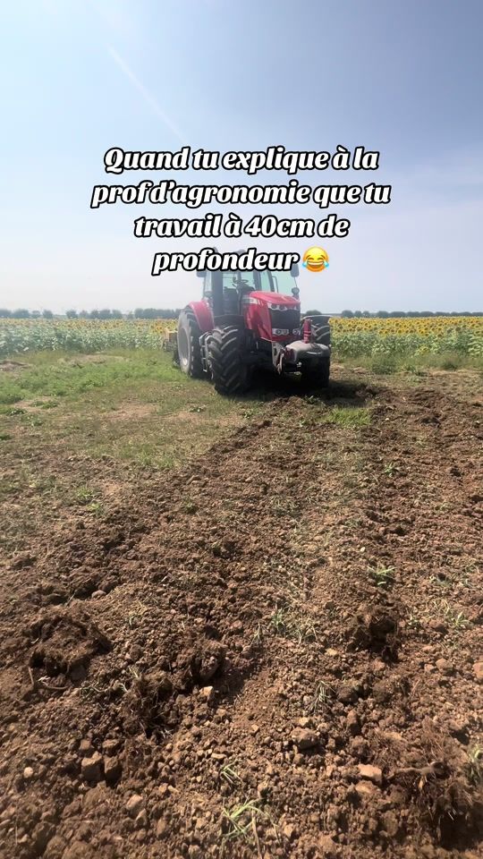 TikTok video thumbnail by agriskyview