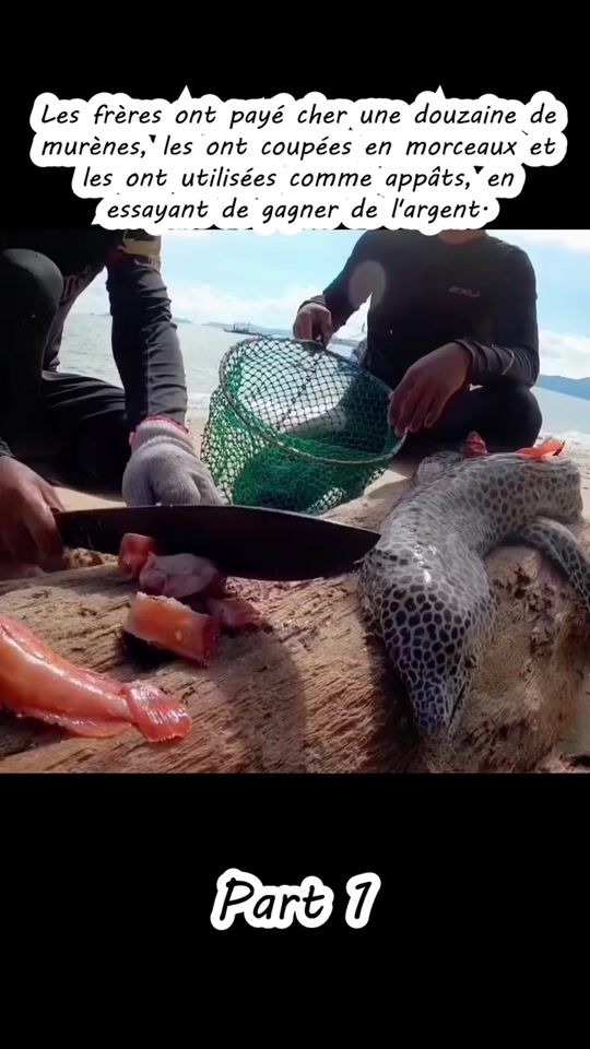 TikTok video thumbnail by obten4