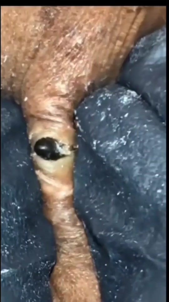 TikTok video thumbnail by strangely.satisfiedtv