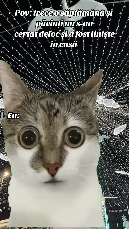 TikTok video thumbnail by faratine88