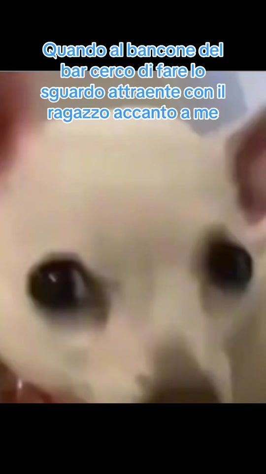 TikTok video thumbnail by mellyeto