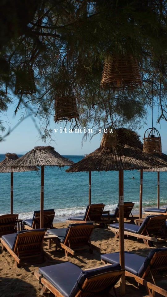 TikTok video thumbnail by cactus.beach.paro