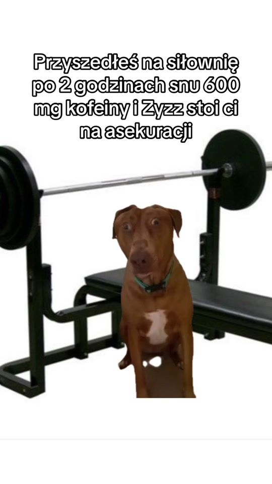 TikTok video thumbnail by nabitycukrzyk