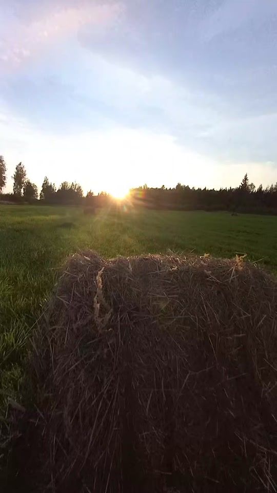 TikTok video thumbnail by _._wally.s_._room_._