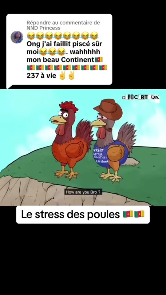 TikTok video thumbnail by les_choses_du_continent
