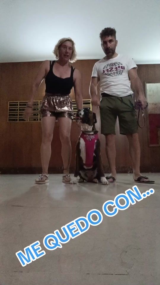 TikTok video thumbnail by draco.24