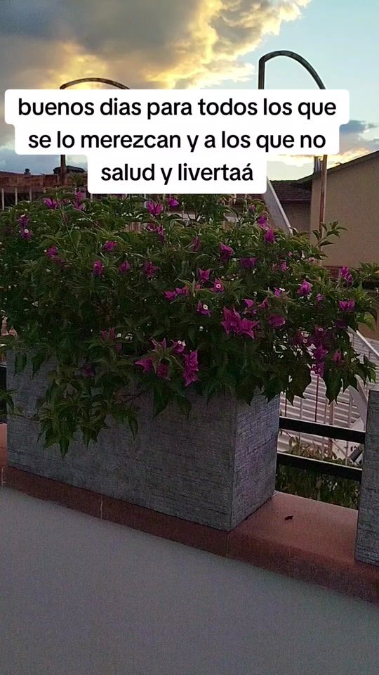 TikTok video thumbnail by oscorrom