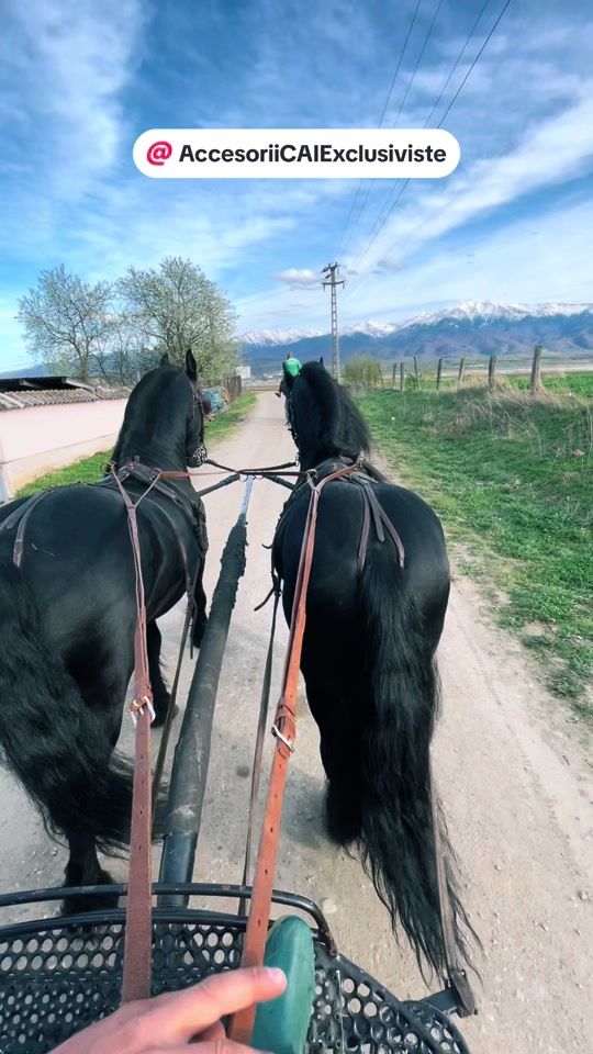 TikTok video thumbnail by print.dollar