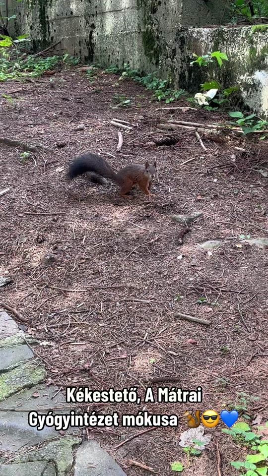 TikTok video thumbnail by alexander33666