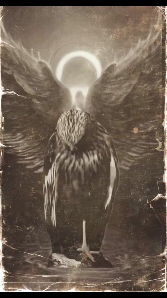 TikTok video thumbnail by mausi125