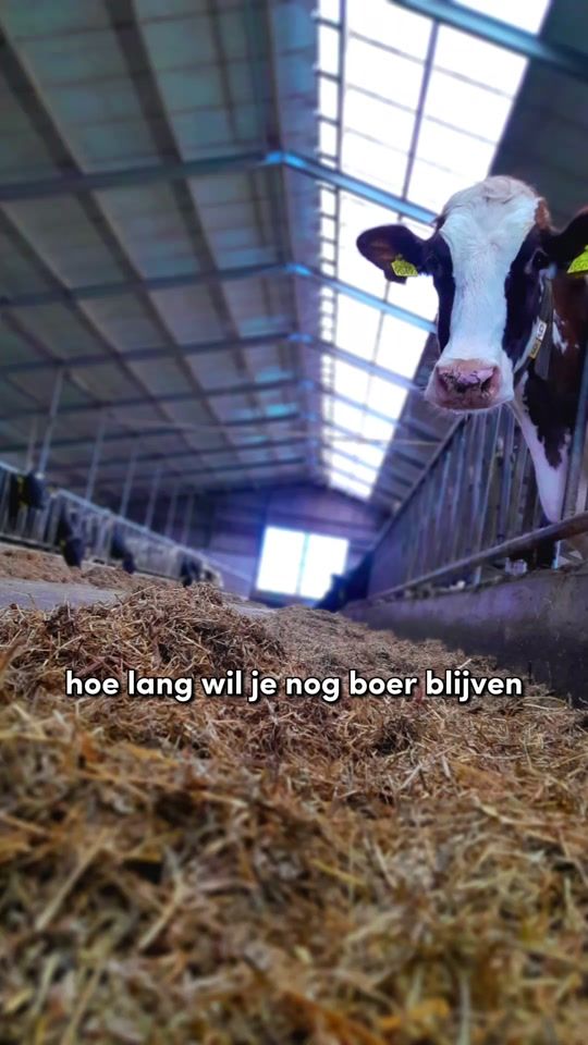 TikTok video thumbnail by dexxelskamp