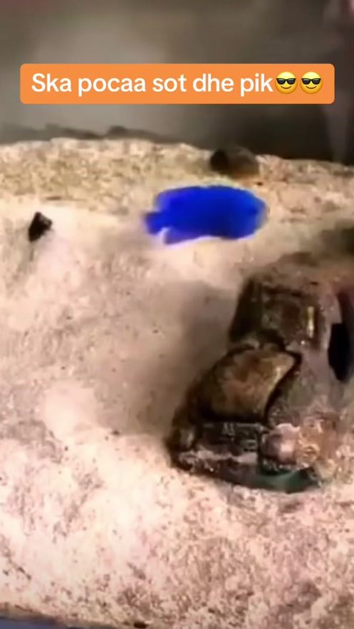 TikTok video thumbnail by i_u_videos